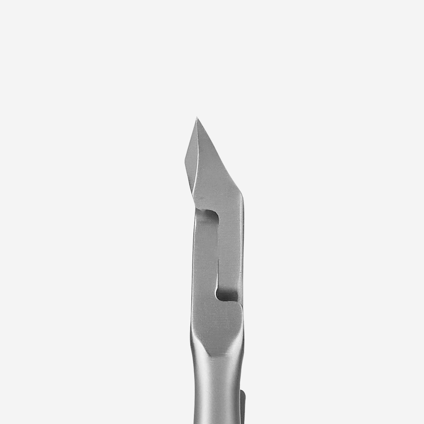 STALEKS צבת עור SMART 31\5